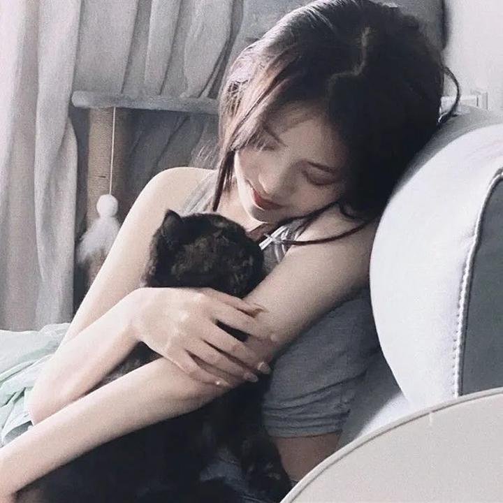 奇兵神犬